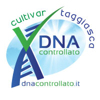 DNA Controllato